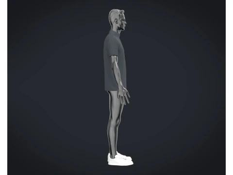 T-Shirt 6 Styles Pack 3D Model