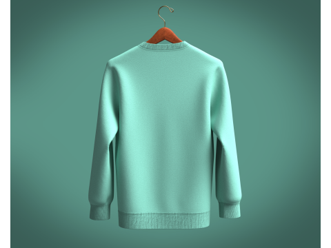 Men Sweatshirt - EARTH RACE Model 3D