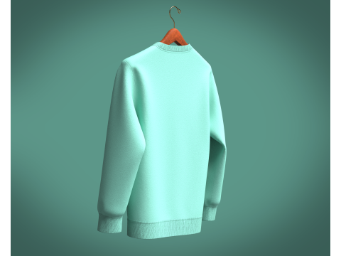 Men Sweatshirt - EARTH RACE Model 3D