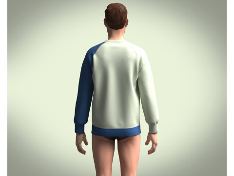 Sweatshirt - Shine Model 3D