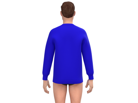 Men Sweatshirt - Colorway 3D 모델