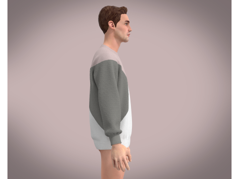 Men Pink Sweatshirt 3D Model