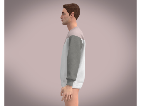 Men Pink Sweatshirt 3D Model
