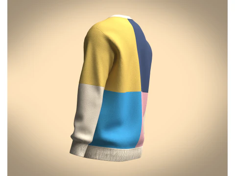 Men Sweatshirt Multi Color - V2 3D Model