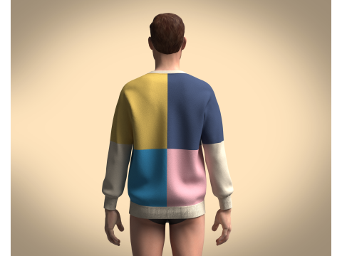 Men Sweatshirt Multi Color - V2 3D Model