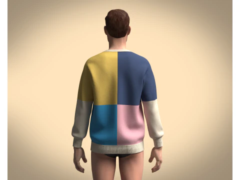 Men Sweatshirt Multi Color - V2 3D Model