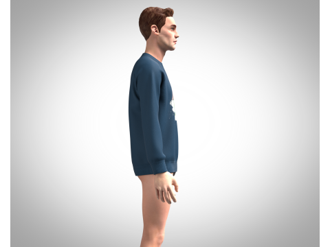 Men Sweatshirt - Watercolour Garden 3D Model