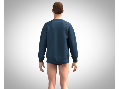 Men Sweatshirt - Watercolour Garden 3D Model