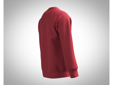 Men Sweatshirt - Script Slogan Lettering 3D Model