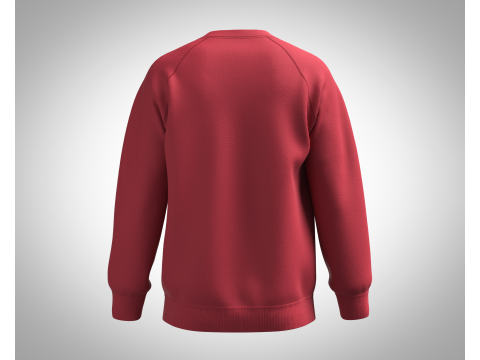 Men Sweatshirt - Script Slogan Lettering 3D Model