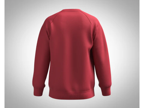 Men Sweatshirt - Script Slogan Lettering 3D Model