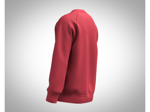 Men Sweatshirt - Script Slogan Lettering 3D Model