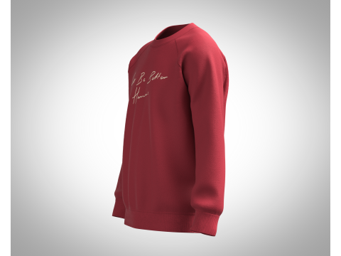 Men Sweatshirt - Script Slogan Lettering 3D Model