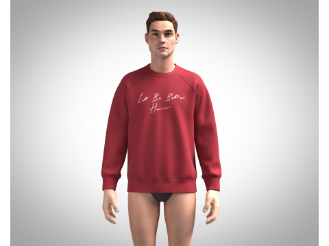 Men Sweatshirt - Script Slogan Lettering 3D Model