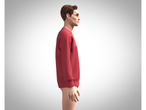 Men Sweatshirt - Script Slogan Lettering 3D Model