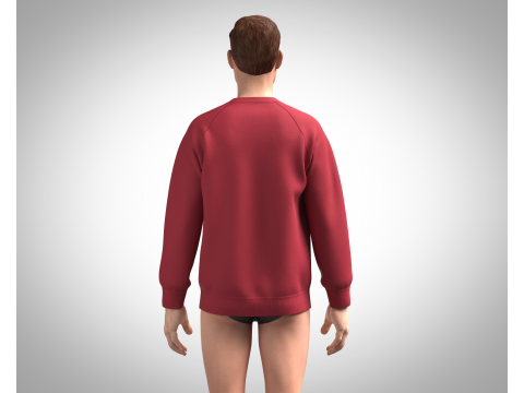 Men Sweatshirt - Script Slogan Lettering 3D Model