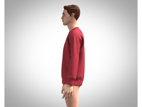 Men Sweatshirt - Script Slogan Lettering 3D Model