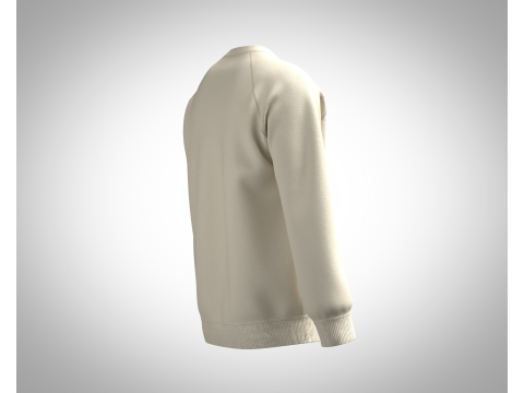 Men Sweatshirt - Photoprint Modello 3D