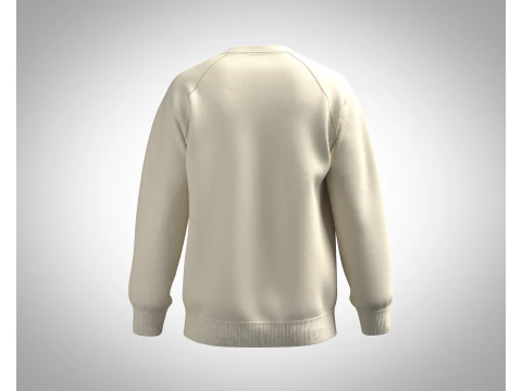 Men Sweatshirt - Photoprint 3D Model