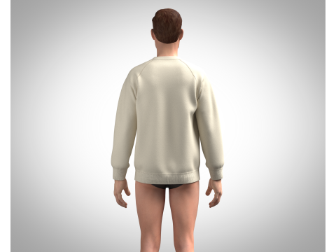 Men Sweatshirt - Photoprint Modello 3D