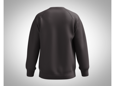 Men Ski Sweatshirt 3D Model