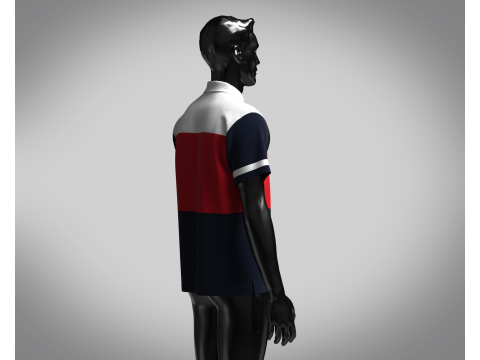 Polo - Contrast Color 3D Model