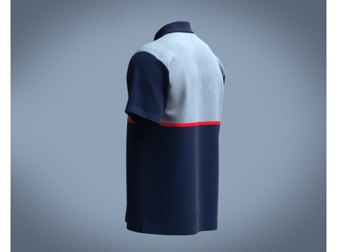 Polo - Cotton Shirt Modelo 3D