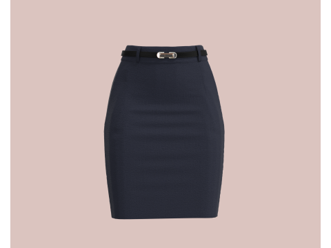 Ladies Skirt 3D Model