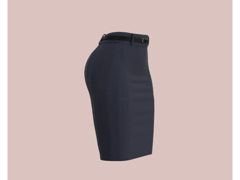 Ladies Skirt Modelo 3D