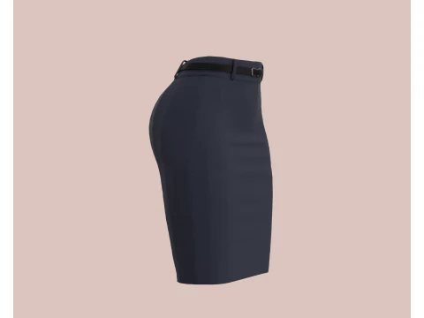 Ladies Skirt 3D Model