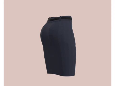 Ladies Skirt 3D Model