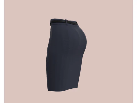 Ladies Skirt 3D Model
