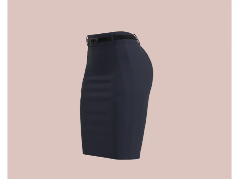 Ladies Skirt 3D Model