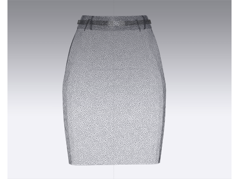 Ladies Skirt Modelo 3D