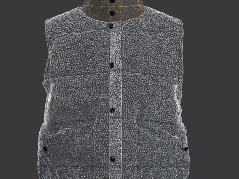 Men Vest Jackets 3Dモデル
