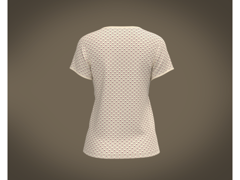 Ladies Tshirt 3D मॉडल