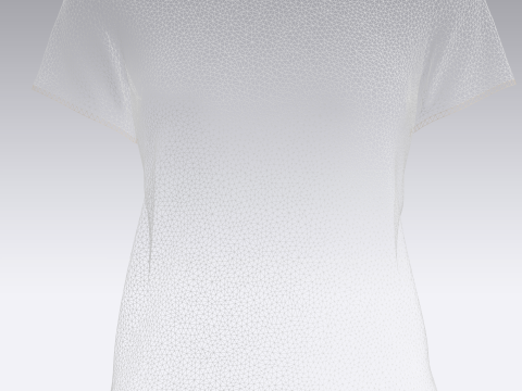Ladies Tshirt 3D मॉडल