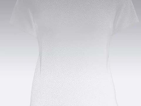 Ladies Tshirt 3D Model