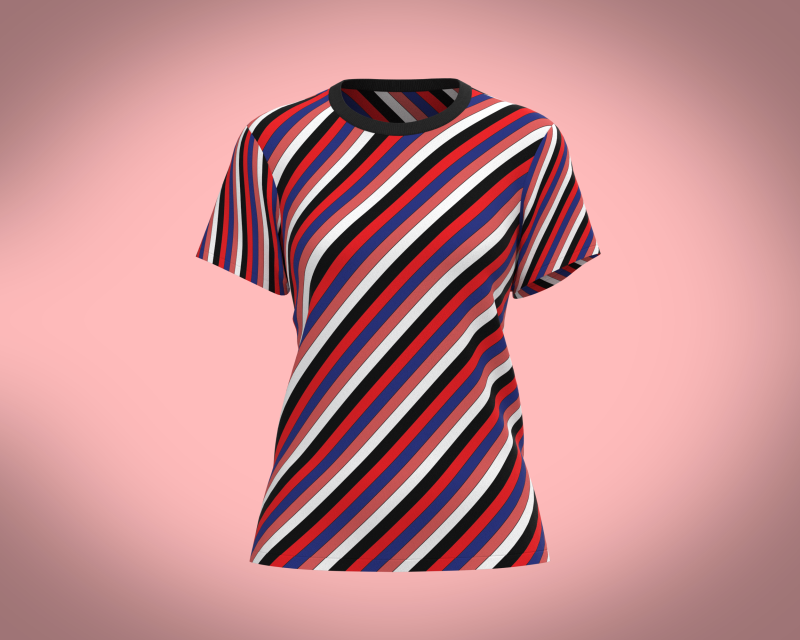 Ladies Tops 3D Модель .c4d .max .obj .3ds .fbx .stl .blend 