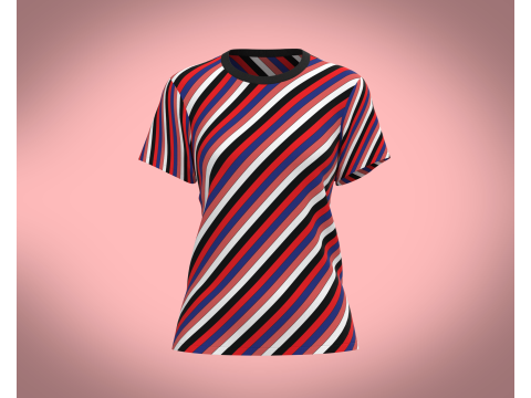Ladies Tops 3D Model