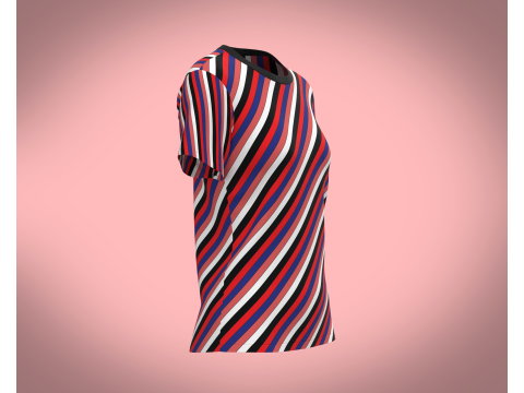 Ladies Tops 3D Модель