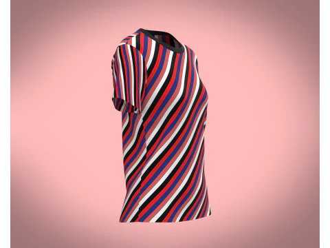 Ladies Tops 3D Model