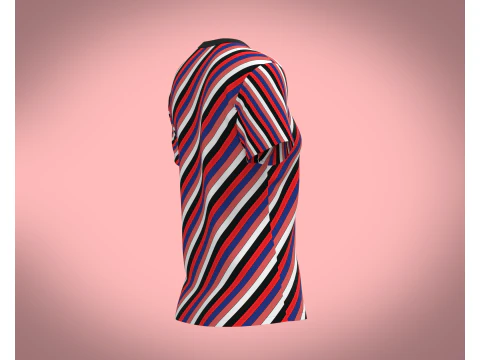 Ladies Tops 3D Model