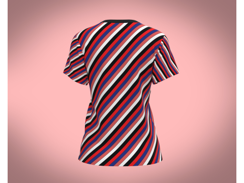 Ladies Tops 3D Модель