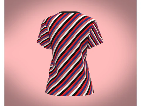 Ladies Tops 3D Model