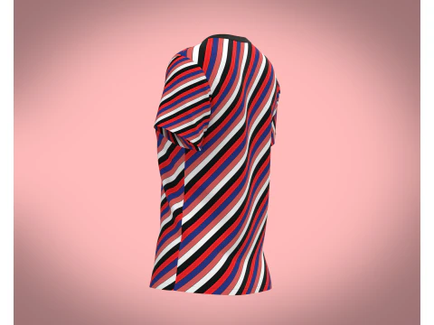 Ladies Tops 3D Model