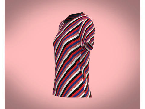 Ladies Tops 3D Model