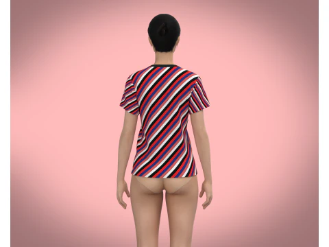 Ladies Tops 3D Model