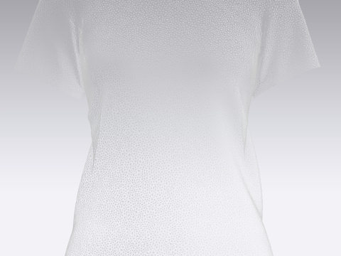 Ladies Tops 3D Модель