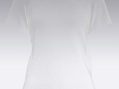 Ladies Tops 3D Model